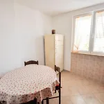 In Novigrad By Interhome Novigrad Istria
